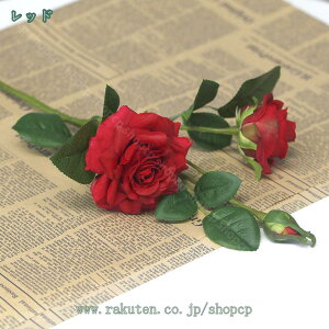 777~OFFN[|  o sN 3Zbg KN [Y ԑ CeA  u[P VNt[ v[g a EFfBOu[P ͂Ȃ A[gt[  Be