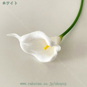 777~OFFN[| 10{ I_JCE  CeA u[P ͂Ȃ VN _Ȏ} N₩ȐF Aȃ^b`  Ԃ̉ԑ JXj  뉀 UVϐ z[ K[f