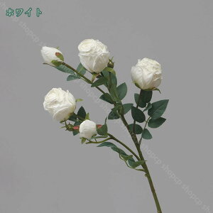 300~OFFN[| 3{  o [Yu[P KN CeA ͂Ȃ VN _Ȏ} N₩ȐF Aȃ^b`  Ԃ̉ԑ JXj  뉀 t[AWg z[