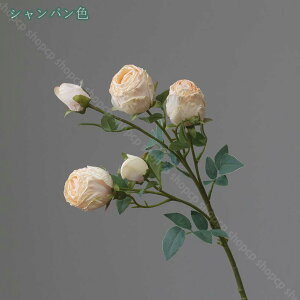 777~OFFN[| 3{  o [Yu[P KN CeA ͂Ȃ VN _Ȏ} N₩ȐF Aȃ^b`  Ԃ̉ԑ JXj  뉀 t[AWg z[