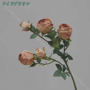 777~OFFN[| 3{  o [Yu[P KN CeA ͂Ȃ VN _Ȏ} N₩ȐF Aȃ^b`  Ԃ̉ԑ JXj  뉀 t[AWg z[