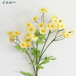 10{  Ԃ̉ԑ fCW[ lHϗtA CeA ͂Ȃ VNԃu[P JXj  뉀 Ԍ|p u[P t[AW 킢 ͂Ȃ CeA {