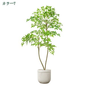 1000~OFFN[| lHϗtA 150cm t  j ̓ AJV lHϗtA tFCNO[ A t CeA tFCNO[  ^ ^ u 