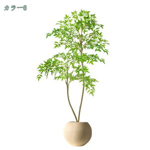 1000~OFFN[| lHϗtA 150cm t  j ̓ AJV lHϗtA tFCNO[ A t CeA tFCNO[  ^ ^ u 