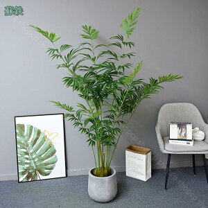 2000~OFFN[| tFCNO[ ^ IV { lHϗtA Ύ V~[V tA i fR[V ~͐A tFCNO[ ׍HJ Rɒ