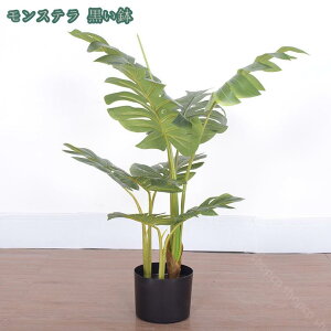 1000~OFFN[| lHϗtA Xe tFCNO[ Mъϗt CeA  sv ͂Ȃ lH tFCNO[ lHϗt CeA ItBX Ƃ̒