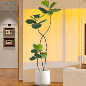 2000~OFFN[| ^ lHϗtA tFCNϗt tFCN ItBX z[  fR[V tFCNO[   ^  ƒ 悯oRj[ Iȑ 