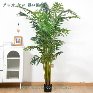 tFCNO[ lHϗt ^ϗt Vv ItBX  CeA { p Iȑ  R͋̕C  i|  lHϗtA tFCNO[