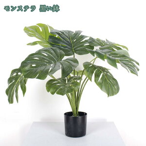 1000~OFFN[| tFCNO[ lHϗtA Xe   GgX ̃tFX  ItBX CeA  O tFCNA Mъϗt sv ͂