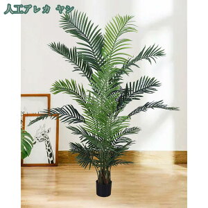 1000~OFFN[| lHϗtA ^ Mъϗt tFCNO[ oCIjbNO[ ^|| A  rO[ ^ tAfR[V i  tFCNO[ 