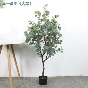 lHϗtA tFCNO[ ϗtA ^ CeA  tFCNO[ { j JX JƏj  ^ϗtA i` A tFCNc[ tFC