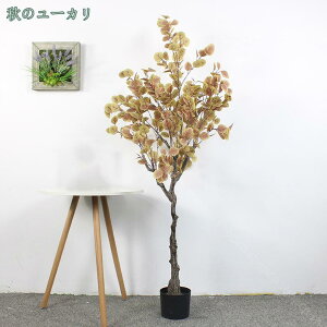 lHϗtA tFCNO[ lHϗt CeAO[  ItBX  CeA JXj Vzj {͕킵Ă Ύ lH[J lHϗtA MѐA 