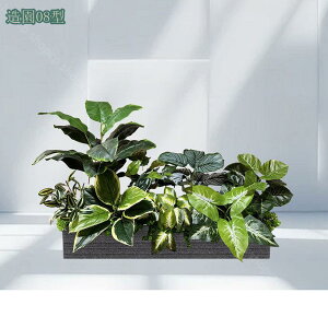 2000~OFFN[| tFCNO[ lHϗtA ^ ie CeA ϗtA Xe tFCNA sv ͂Ȃ ~͐A ͂Ȃ JtF  O ItBX z[ 