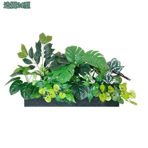 lHϗtA tFCNO[  Iȑ R͋̕C fR[V i| hZi l Xe A Ɋy ^ lHϗtA iϑ ȒP ׍H