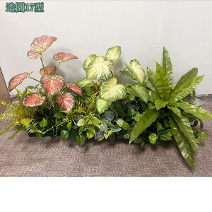 2000~OFFN[| tFCNO[ ^ lHϗtA CeA  c ItBX ze  i| ϗtA tFCNc[ ItBXΉ N₩ȗt̐F tFCNO[ 