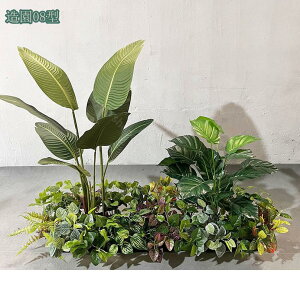 2000~OFFN[| tFCNO[ ^ lHϗtA CeA  c ItBX ze  i| ϗtA tFCNc[ ItBXΉ N₩ȗt̐F tFCNO[ 