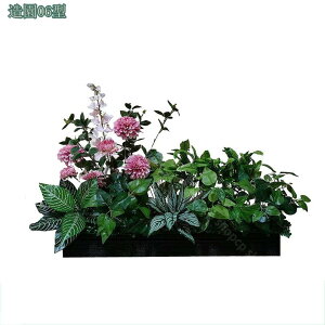 1000~OFFN[|  tFCNO[ ^ lHϗtA  rO ie l AJV Xe Ɋy hZi ItBXΉ  X i`͋C ډB 