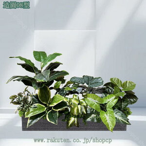 2000~OFFN[| lHϗtA tFCNO[  ItBX z[   rO  |[`  O z[  hZi Xe lHϗt CeA ډB F