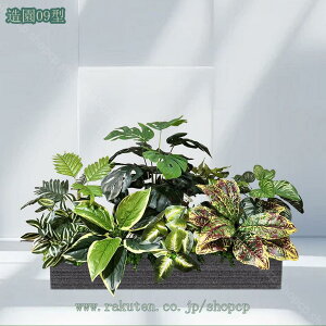 2000~OFFN[| lHϗtA tFCNO[  ItBX z[   rO  |[`  O z[  hZi Xe lHϗt CeA ډB F