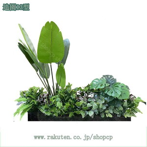 2000~OFFN[| lHϗtA tFCNO[ ^ϗtA CeA    ͂Ȃ ~͐A { tFCNO[ ϗtA K[f Xe iσA