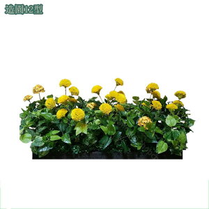 �l�H�ϗt�A�� �t�F�C�N�O���[�� ��^�ϗt�A�� �C���e���A ���� ���� ���� �͂�Ȃ� �~�͐A�� �{���������� �t�F�C�N�O���[�� �ϗt�A�� �K�[�f������ �����X�e�� �i�σA�����W�����g �����