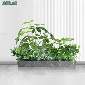 2000~OFFN[| tFCNO[ lHϗtA  CeA ϗtA tFCN Xe  O tFCNA lHϗtA sv ͂Ȃ ~͐A ͂Ȃ ~͐A J