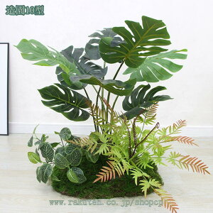 tFCNO[ CeAO[  ^ ȒP sv Q쏜sv  Mtg ƒ  X p[e[VO[ hZi l AJV Xe lH