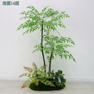 1000~OFFN[| lHϗtA ^MѐA  tFCNO[ i` IV l AJV Xe Ɋy hZi Iȑ  i| CeA r