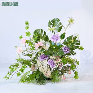 ^ tFCNO[ { iϑ p[eBV ̑gݍ킹 z[fR[V tFCNt[ fR[V   A{gt    A