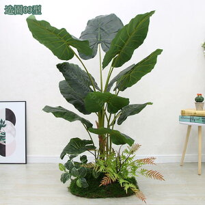 2000~OFFN[| lHϗtA tFCNO[  lHϗt CeAO[  ItBX  CeA JX Vzj {͕킵ĂfUC tFCNO[ l