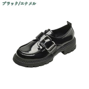 1650~OFFN[| [t@[ pvX fB[X ₷  vC q wC  _炩 ɂȂ ₷ h w  ʊw ʋ CMX  q[4cm ItBX 