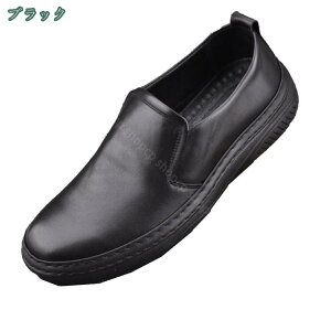 300~OFFN[| [t@[ Y hCrOV[Y JWAV[Y Xb| amC rWlXV[Y JV Y ʋ h y ʋC ₷ Ռz  _