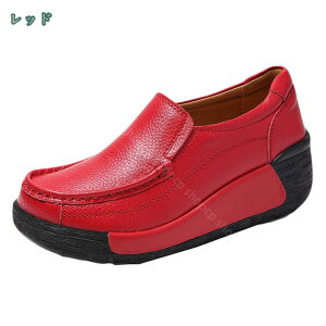 800~OFFN[| Xb|  fB[X  [t@[ JWAV[Y  C t  H C g5cmLт ₷  ɂȂ  Vv fB[XV[Y 