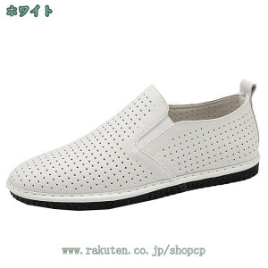 300~OFFN[| fbLV[Y Y JWA Xb| Xj[J[ hCrOV[Y amC StV[Y JWAV[Y rWlXT_ hL ϋv h ʋC y 