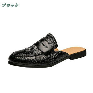 300~OFFN[| rWlXXbp Y y Xb| EhgD vC ƂȂC T{T_ hN^[V[Y JWA Г Ȃ ʋC h T_  