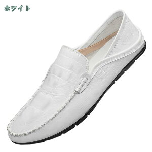 1650~OFFN[| hCrOV[Y Y  Xb| ʋC 2WAYƂ߂ y 㗚 hCo[V[Y Ep amC JWAV[Y ʋ ʊw y  Vv 