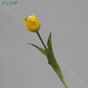 300~OFFN[| 5{  `[bv A[gt[ A^b` sN `[bvԑ  t[AW p j  a Ǝ ̓ rO x_  