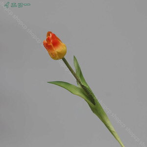 777~OFFN[| 5{  `[bv CeA ͂Ȃ VN _Ȏ} N₩ȐF Aȃ^b`  Ԃ̉ԑ JXj  뉀 t[AWg z[ K[