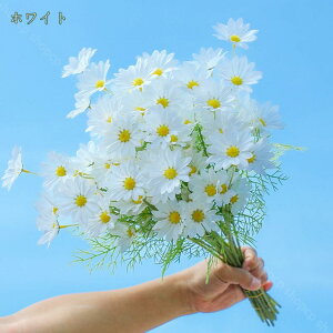 777~OFFN[| 10{ tFCNfCW[ fCW[  e ͂Ȃ 킢 lHϗtA  u[P CeA A^b` Aȃu[P z[ Lb` EFfBO I