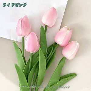 300~OFFN[|  `[bv ԑ VNt[ N₩ȐF A[eBtBVt[  p[eB[ CeA  fR[V a LO Ԃ̉ԑ lHϗtA