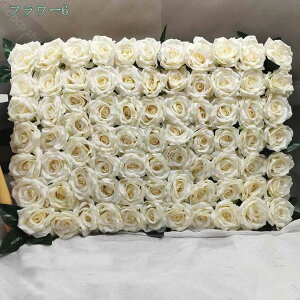 1000~OFFN[|  tFCNt[ Ǐ [Y KN t[EH[ EH[t[ Xܑ ͂Ȃ Ĝ悤 Ƃ ǂɏ  Cxg 