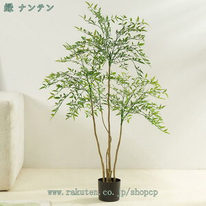 1650~OFFN[| ^ tFCNO[ lHϗtA CeA  rO ItBX  Q  lHϗtA ϗtA 킢  sv ȒPb炸 Mtg v