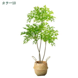 1000~OFFN[| lHϗtA tFCNO[ 160cm lHϗt CeAO[  ItBX  CeA JXj Vzj {͕킵Ă tFCNO[ l