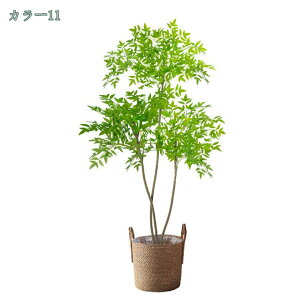 1000~OFFN[| tFCNO[ lHϗtA ϗt tFCN  ^ ȒP sv Q쏜sv  ƒ 悯oRj[ z̃MtgɍœK p Vv I