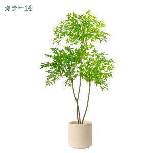 tFCNO[ lHϗtA ϗt tFCN  ^ ȒP sv Q쏜sv  ƒ 悯oRj[ z̃MtgɍœK p Vv Iȑ tFCNO