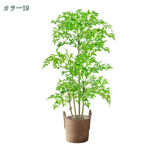 1000~OFFN[| lHϗtA tFCNO[ 160cm lHϗt CeAO[  ItBX  CeA JXj Vzj {͕킵Ă tFCNO[ l