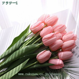 300~OFFN[|  `[bv ͂Ȃ  ԑ CeA A[gt[ VN j a ̓ sN tFCNt[ Mtg ӂ̋C` ֏ 