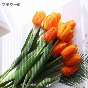 1000~OFFN[| `[bv  ͂Ȃ ֏  `[bv  CeA tFCNt[ Mtg ؂Ȑl֊ӂ̋C` CeA A[gt[  