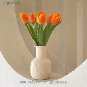 1000~OFFN[|  `[bv ͂Ȃ   ԑ CeA A[gt[ VN j a ̓ sN tFCNt[ Mtg ӂ̋C` ֏ 