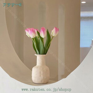 500~OFFN[| `[bv ͂Ȃ lHϗtA CG[`[bv  A^b` lH`[bv z[fR EFfBOu[P fR[V  Fɂ X